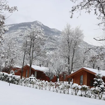 Kemping Lazy Bee Village 3*