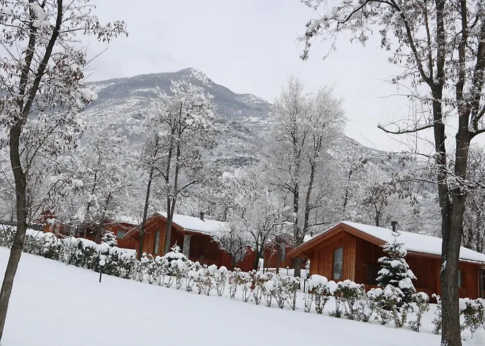 营地 Lazy Bee Village 3*